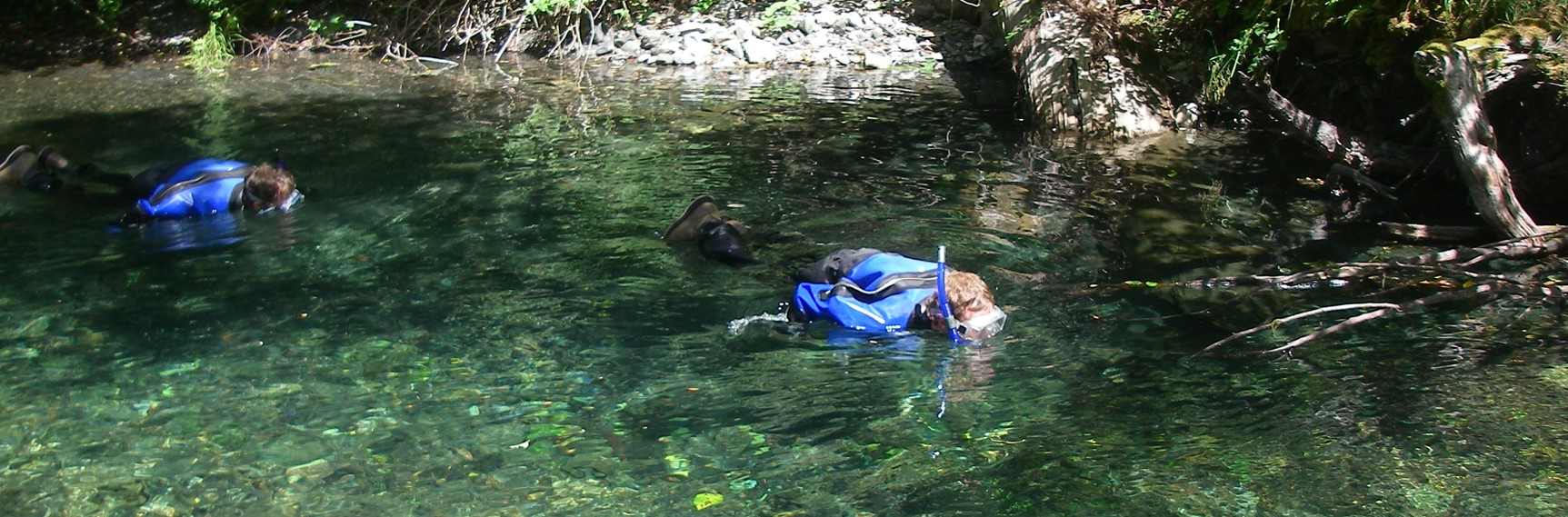 An image of two snorkelers in a clear pool