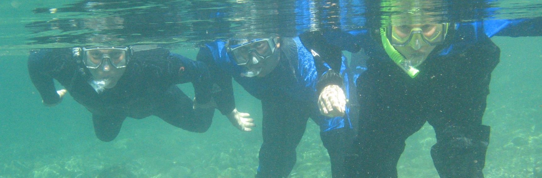 An image of three snorkelers