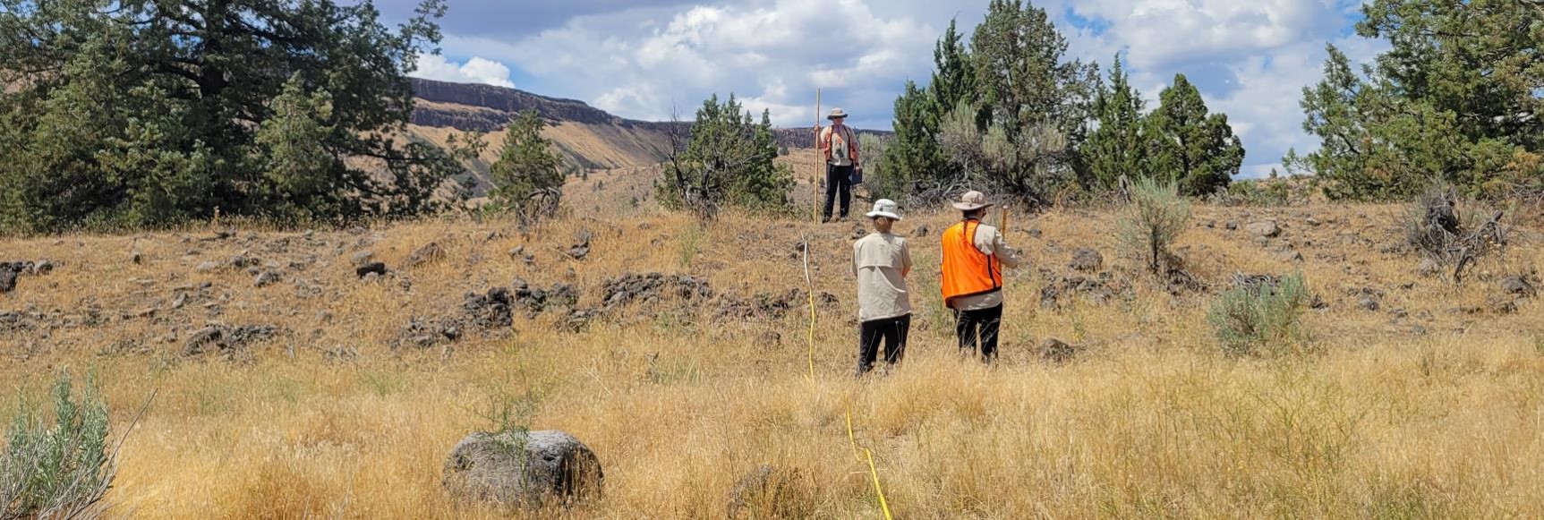 Basin surveyors taking riparian measurements