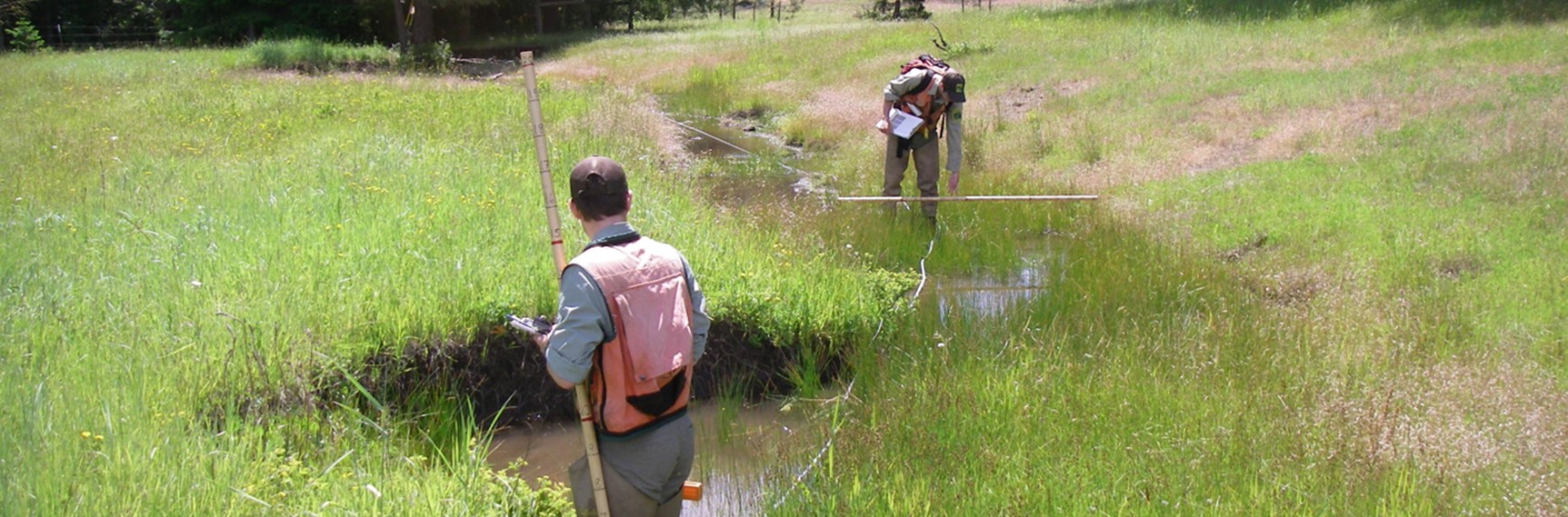 Surveyors measure a habitat unit