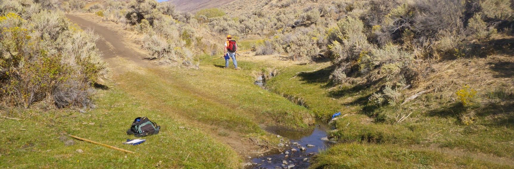 A surveyor measures a habitat unit with a road crossing