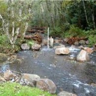 Habitat Boulders