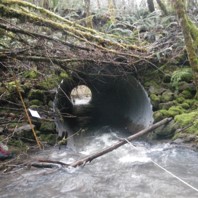 A culvert 