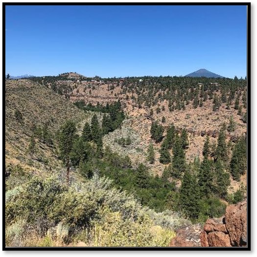 A view of Whychus River Valley