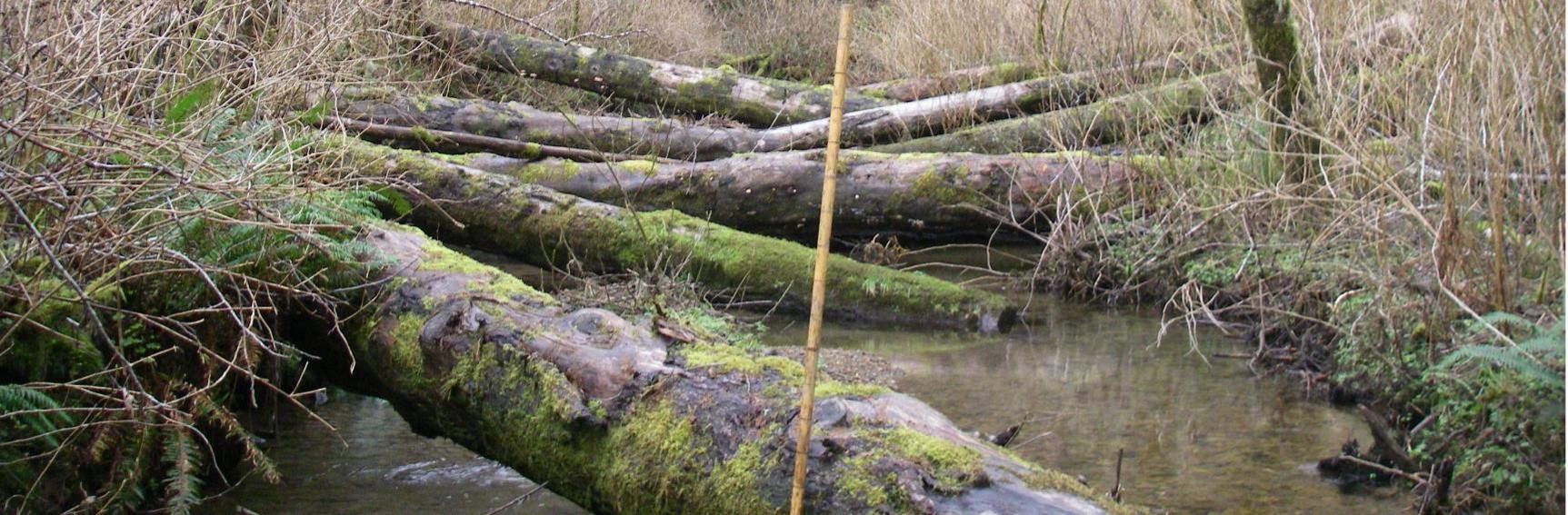 Habitat Logs in a stream