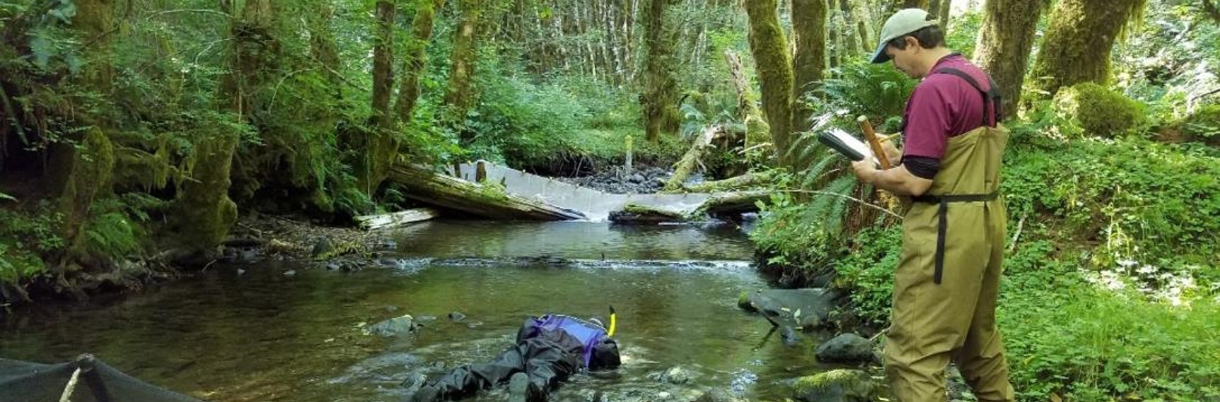 A surveyor collects data while another surveyor snorkels a pool